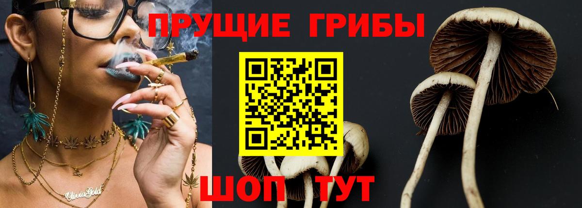 Галлюциногенные грибы GOLDEN TEACHER Новочебоксарск