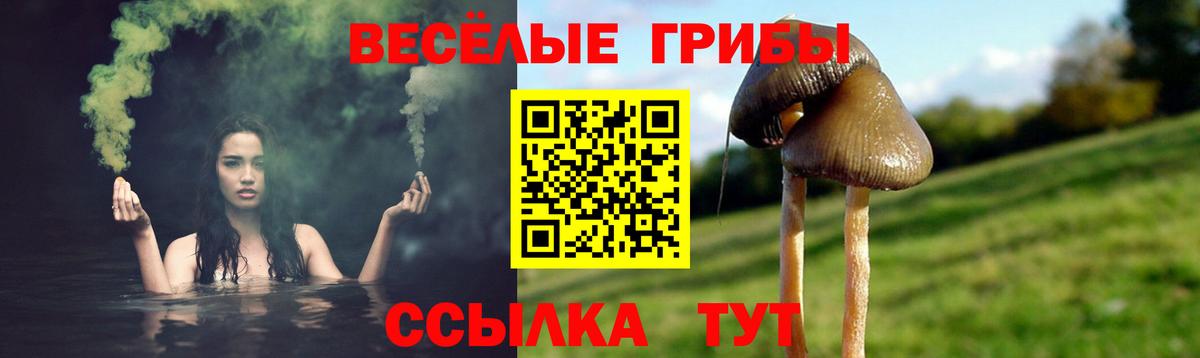Псилоцибиновые грибы мухоморы  Вход с VPN  Новочебоксарск 
